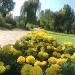 Mevsimlik Çiçek Dikimi