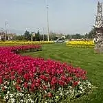 Park Yapımı
