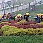 Park ve Yeşil Alan Bakımı
