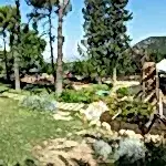 Park ve Yeşil Alan Bakımı