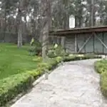 Park ve Yeşil Alan Bakımı