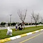 Park ve Yeşil Alan Bakımı