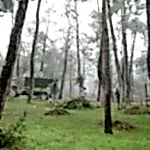 Park ve Yeşil Alan Bakımı