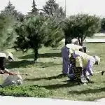 Park ve Yeşil Alan Bakımı