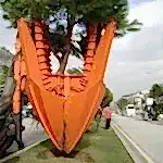 Park ve Yeşil Alan Bakımı