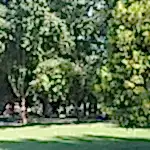 Park ve Yeşil Alan Bakımı