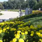 Park ve Yeşil Alan Bakımı