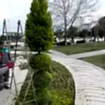 Park ve Yeşil Alan Bakımı