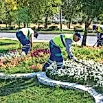 Park ve Yeşil Alan Bakımı