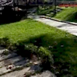 Park ve Yeşil Alan Bakımı