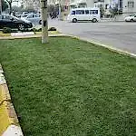 Rulo Çim
