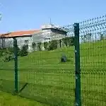 Saksı ve Sepet Çeşitleri