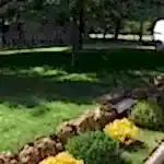 Villa Bahçe Düzenlemesi